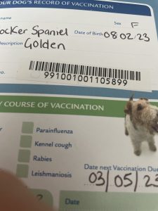 Gweni's vaccination card